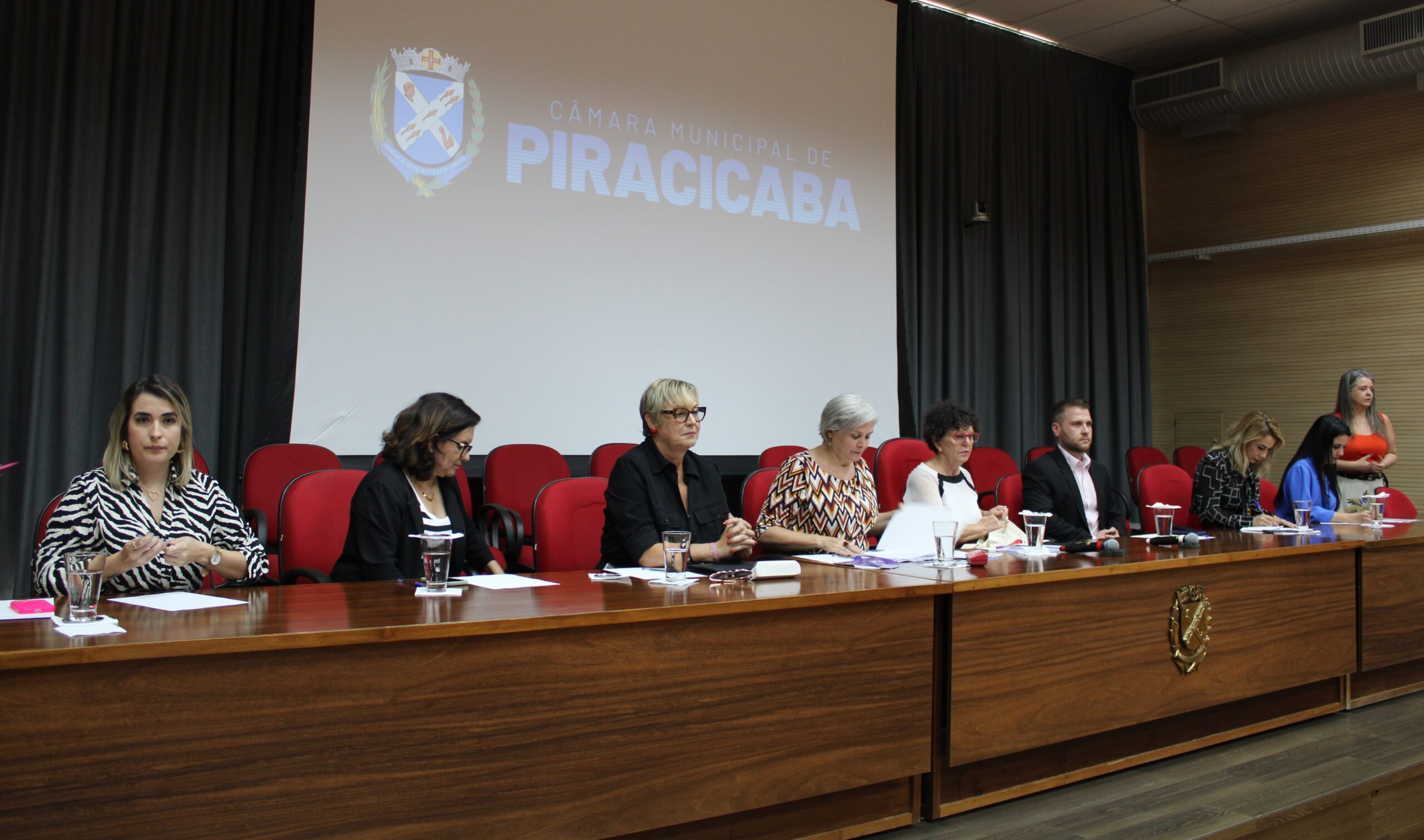 Presidente Thiago Braggion participa da Audiência Pública sobre combate à violência contra as mulheres em Piracicaba